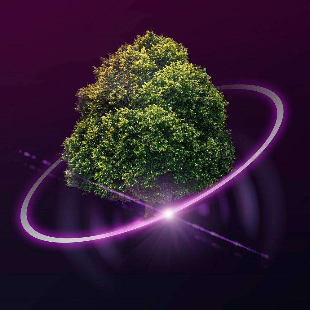 Digital tree, reforestation technology object