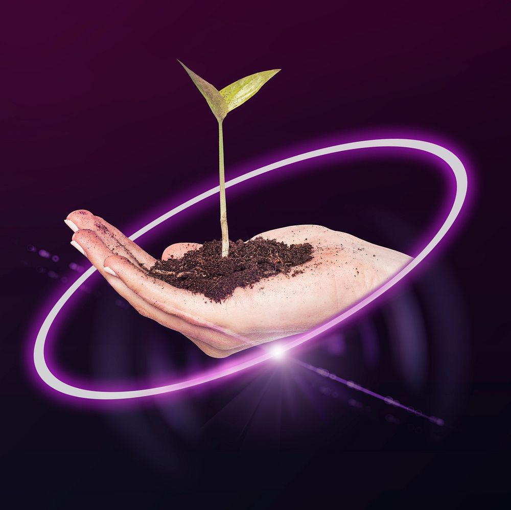 Digital sapling plant, agriculture technology graphic