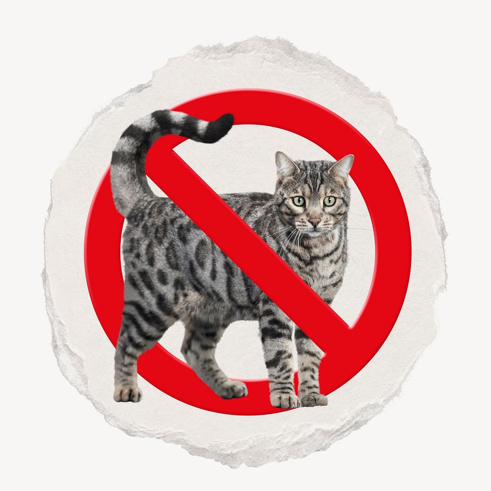 No pet forbidden sign graphic, ripped paper badge