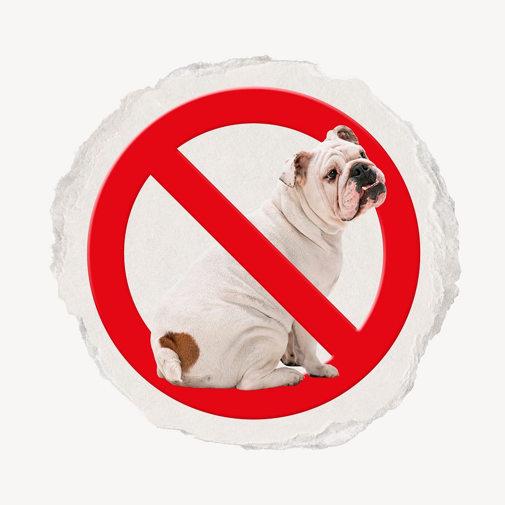 No pet forbidden sign design, ripped paper badge