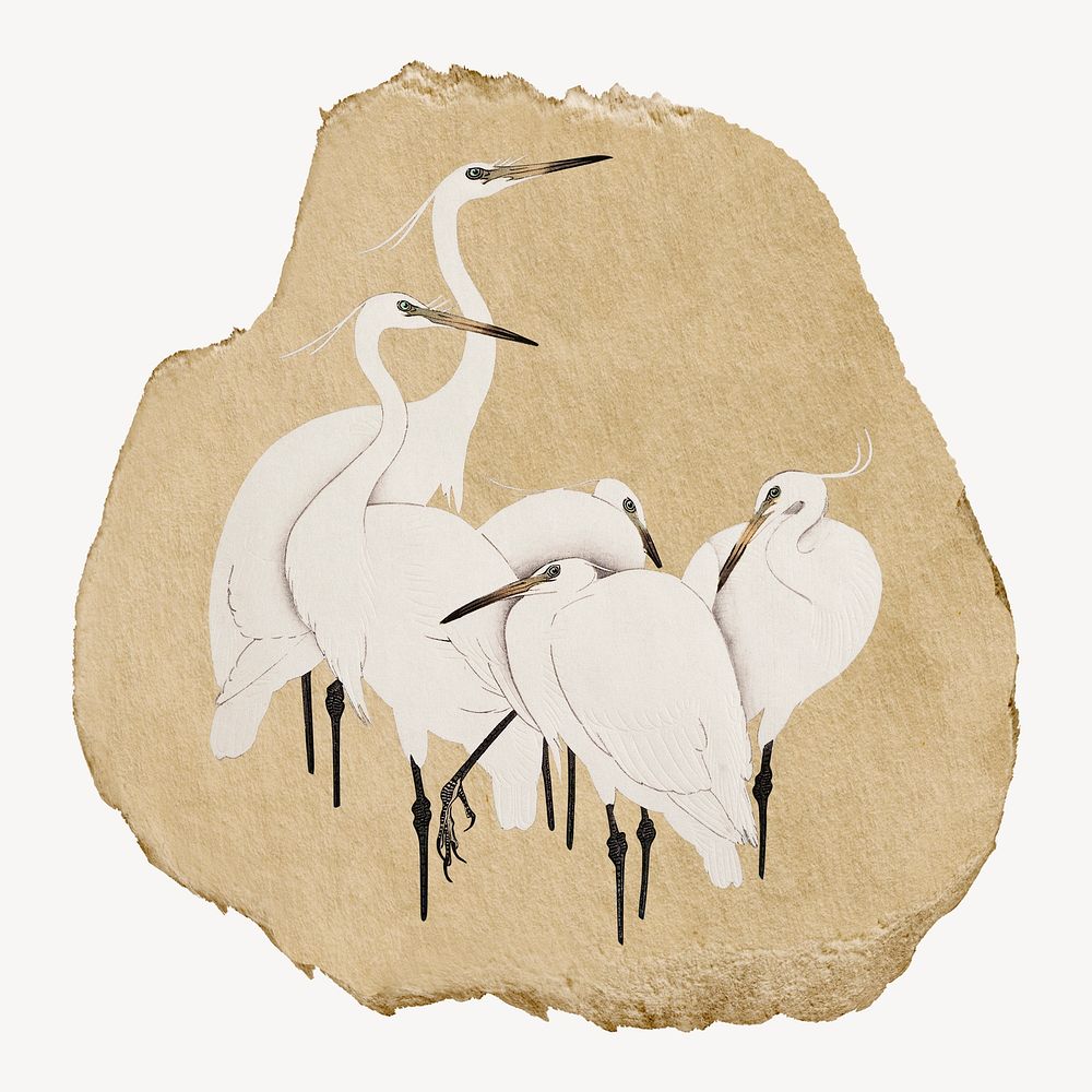 Egret birds vintage illustration on torn paper