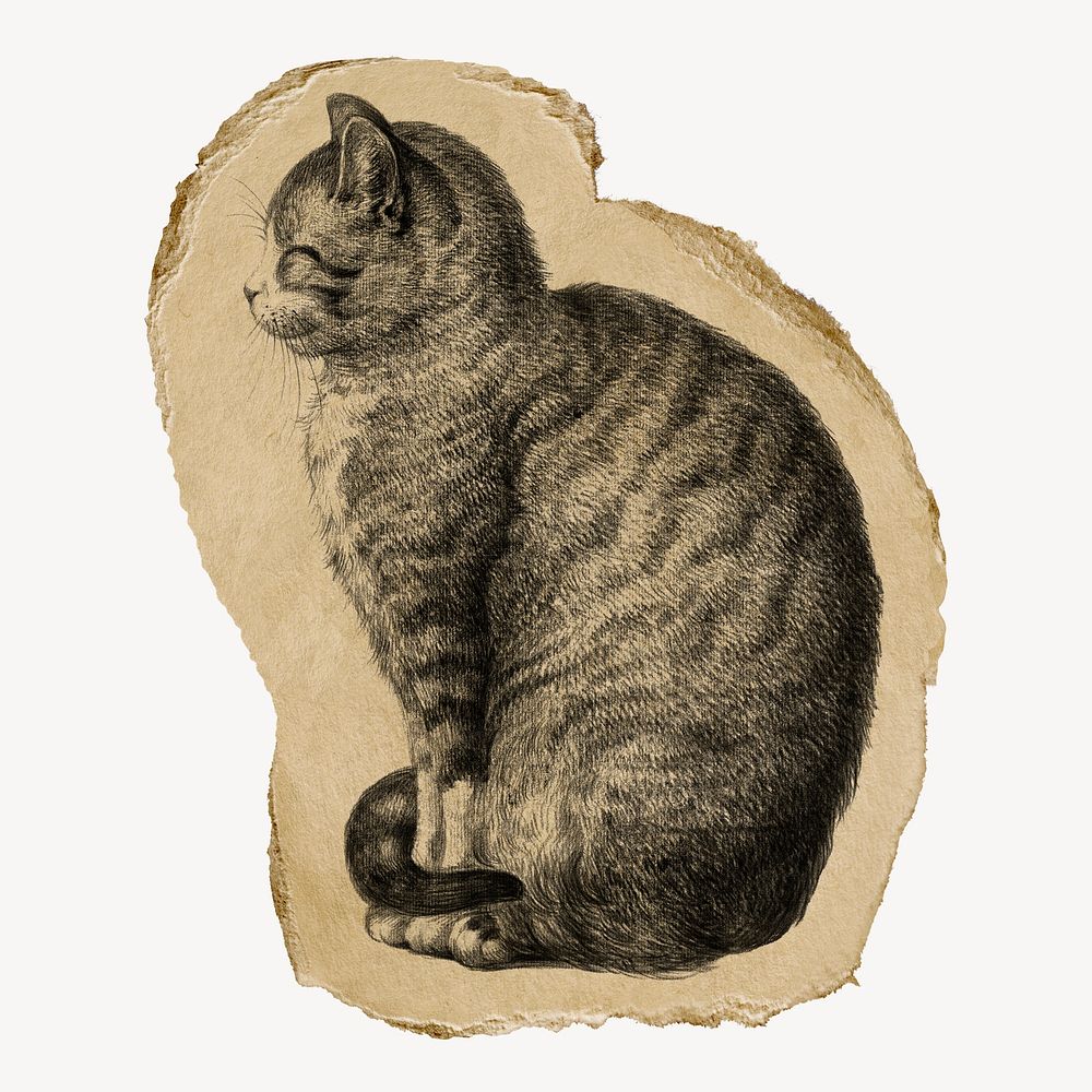 Sitting cat illustration, Jean Bernard's vintage artwork on torn paper