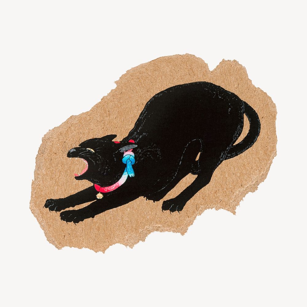 Black cat vintage illustration on torn paper