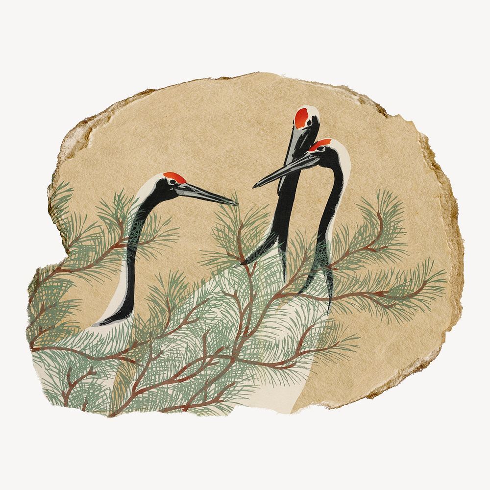 Kamisaka Sekka's cranes vintage illustration on torn paper
