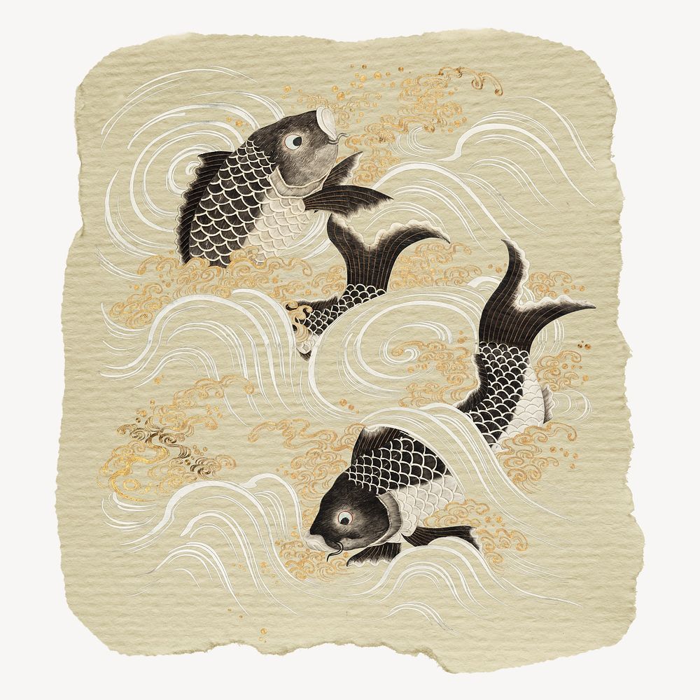 Japanese fish vintage illustration on torn paper