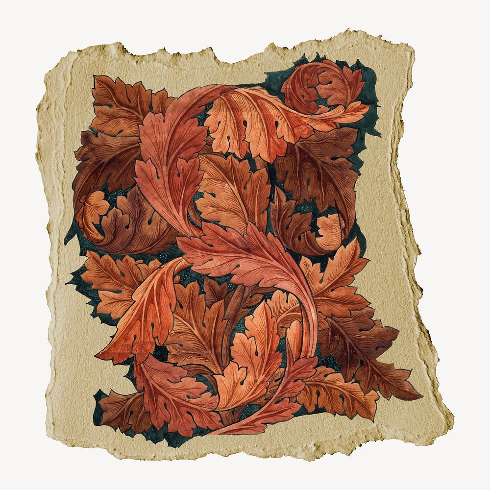 William Morris's Acanthus vintage illustration on torn paper