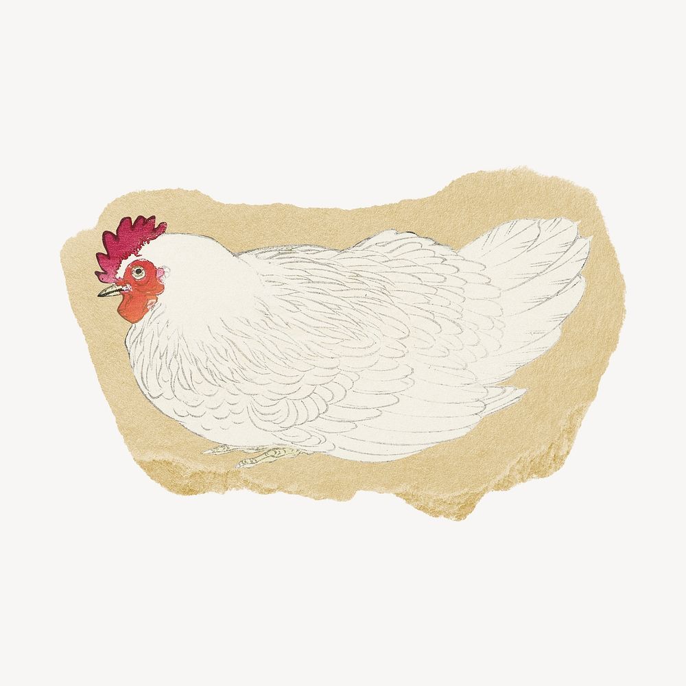 Chicken, Ohara Koson's vintage illustration on torn paper
