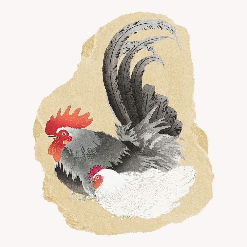 Ohara Koson's chicken, japanese vintage illustration on torn paper