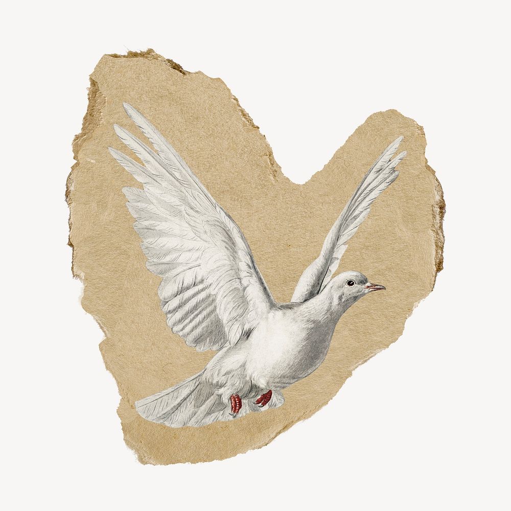 Flying bird, watercolor vintage illustration on torn paper