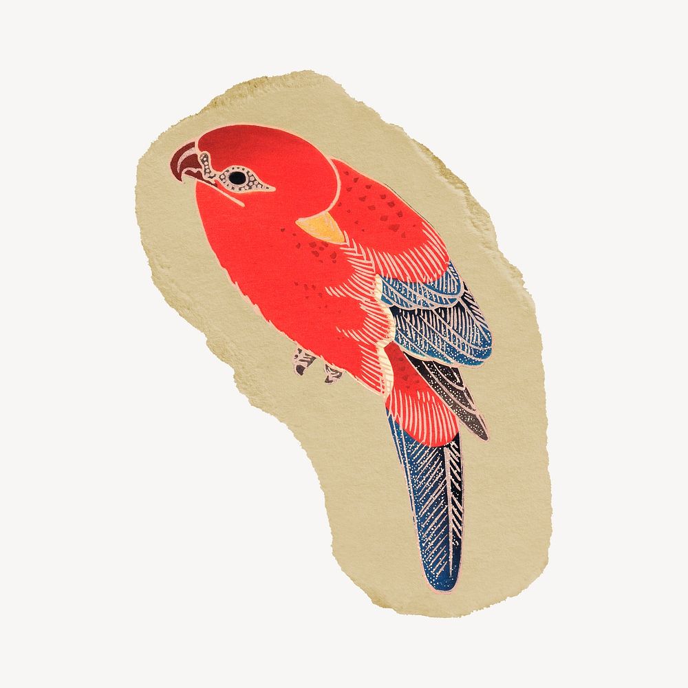 Red parrot illustration, vintage illustration on torn paper