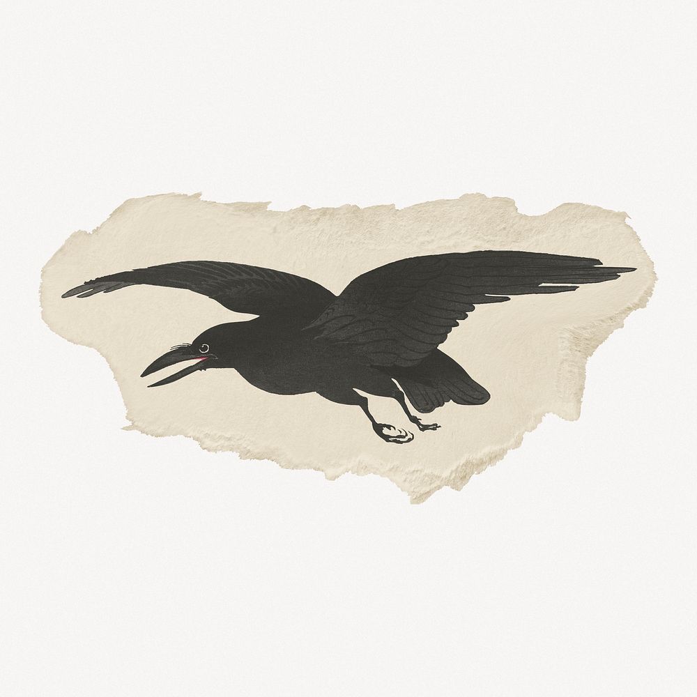 Crow, Ohara Koson's vintage illustration on torn paper