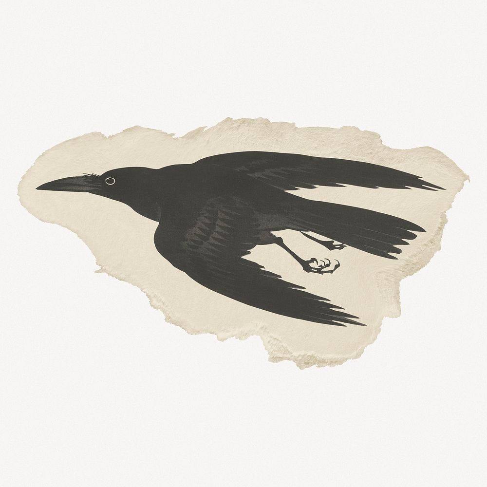 Crow, Ohara Koson's vintage illustration on torn paper