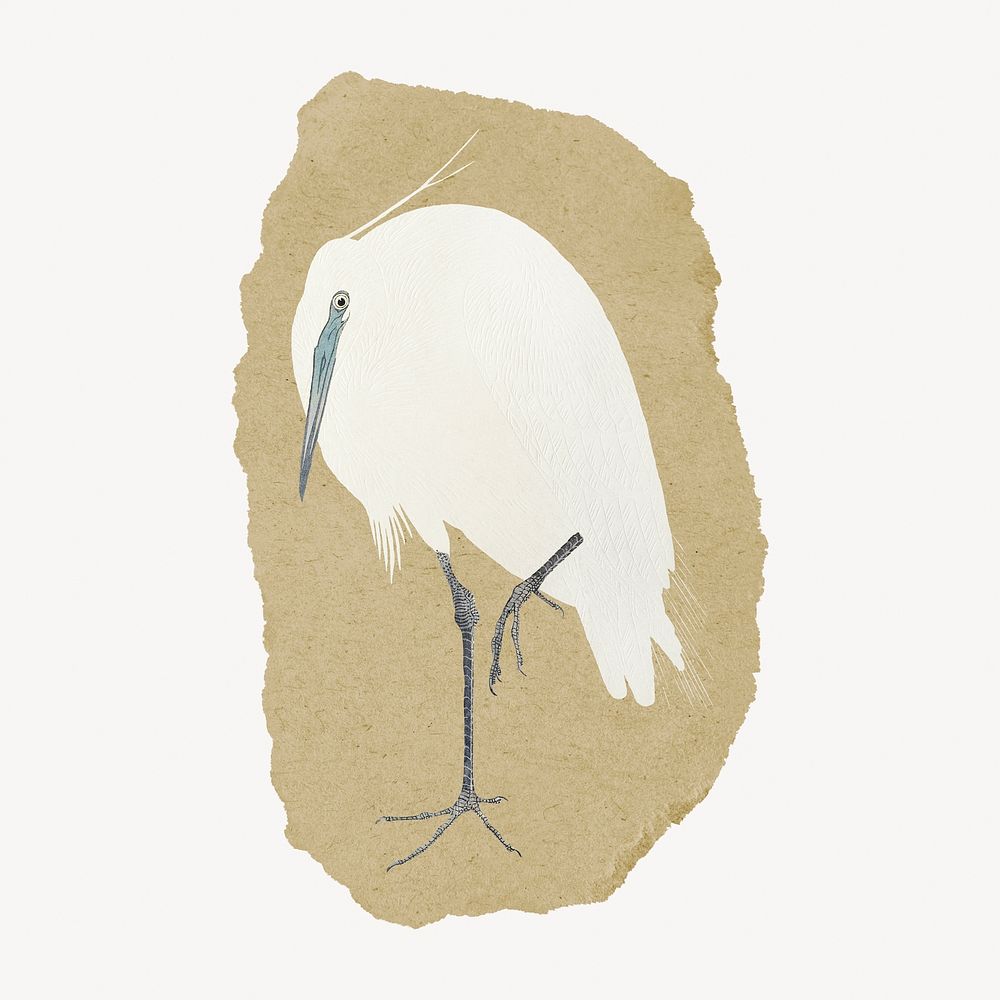 Ohara Koson's egret vintage illustration on torn paper