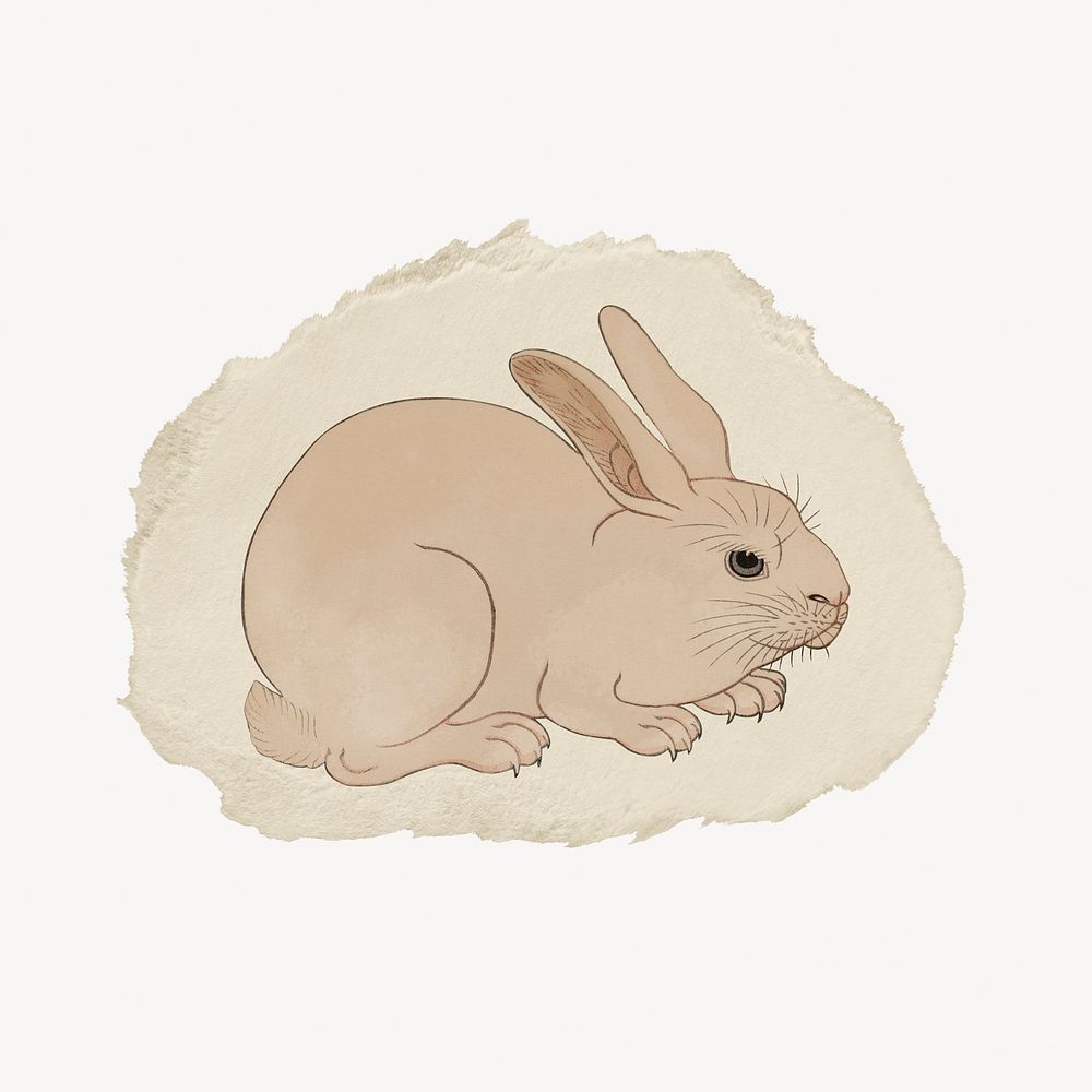 Rabbit, Japanese vintage illustration on torn paper