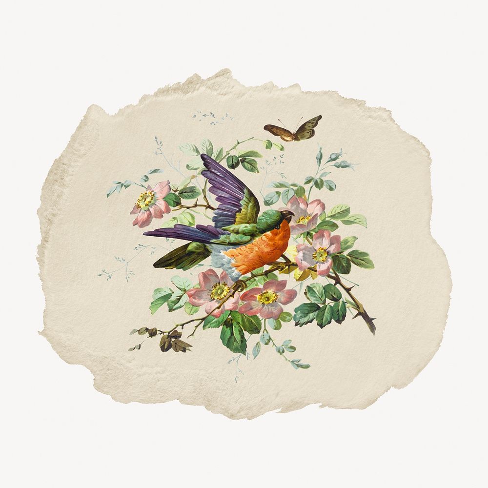 Birds and flowers vintage illustration on torn paper