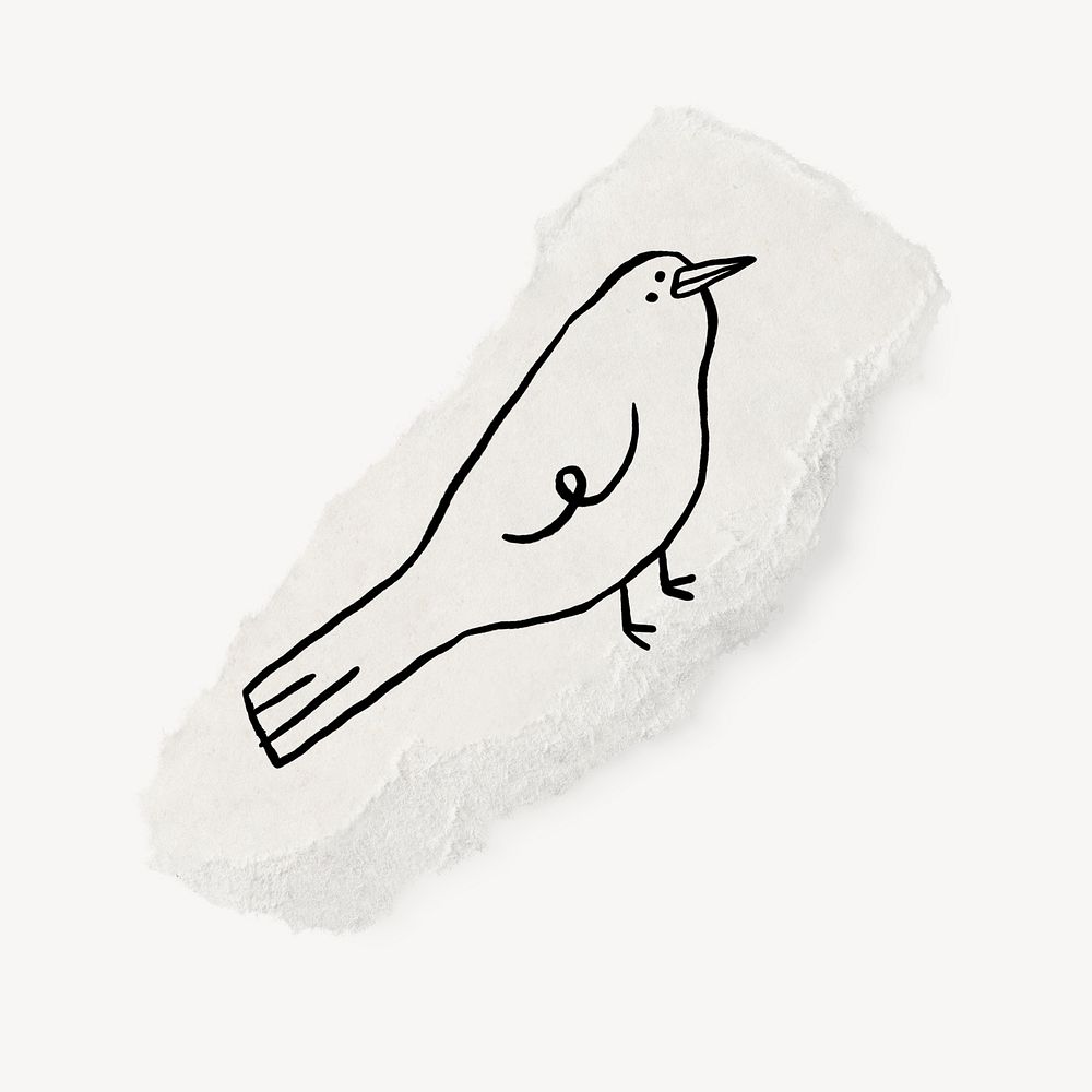 Cute bird doodle, ripped paper, off white design