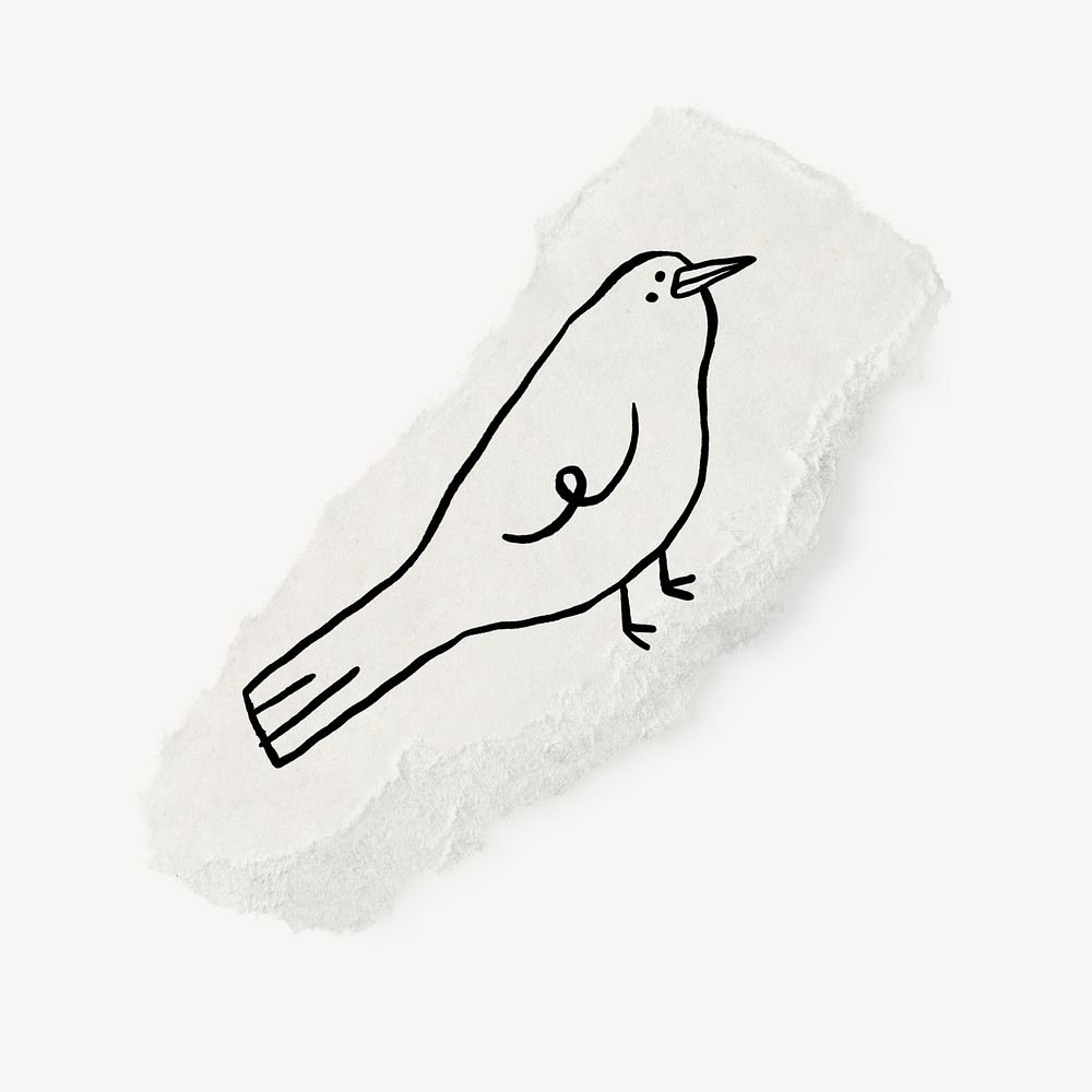 Cute bird doodle, ripped paper, illustration, off white design psd