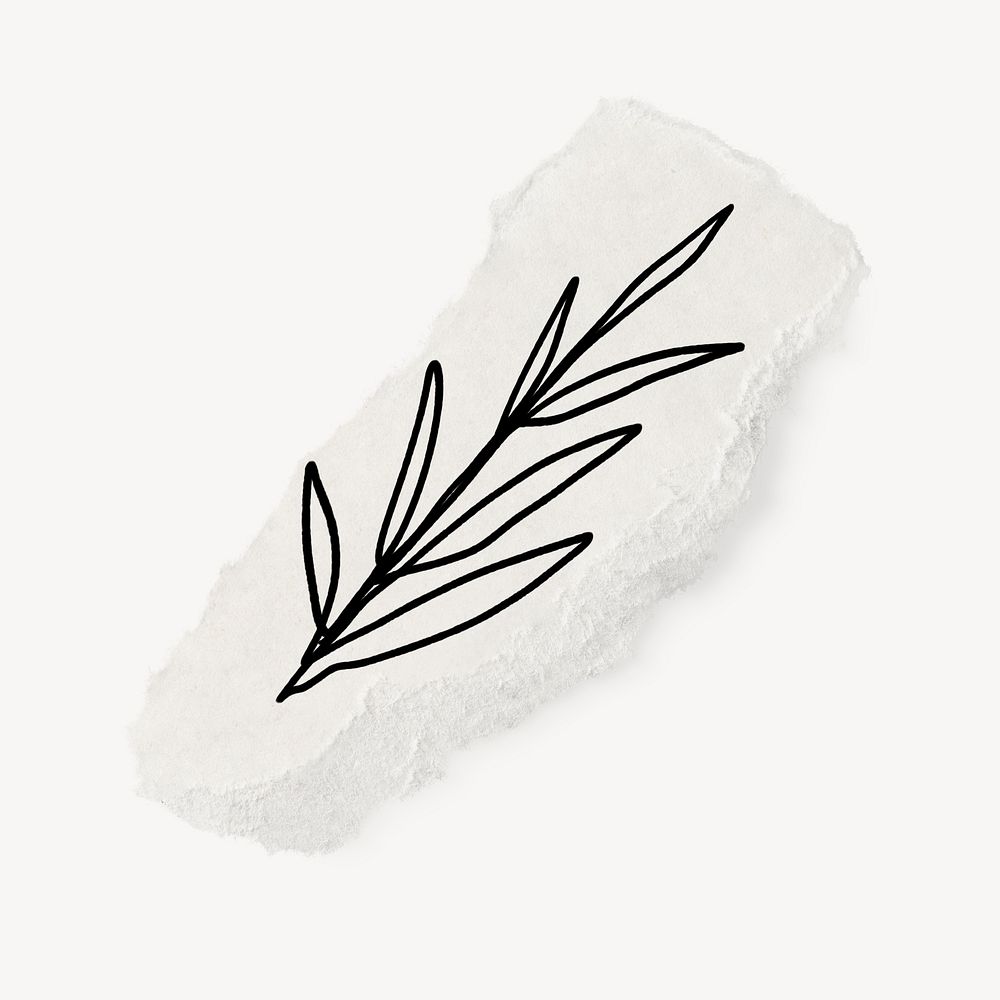 Cute leaf doodle, ripped paper illustration, off white design