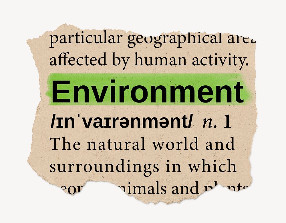 Environment definition, ripped dictionary word, Ephemera torn paper