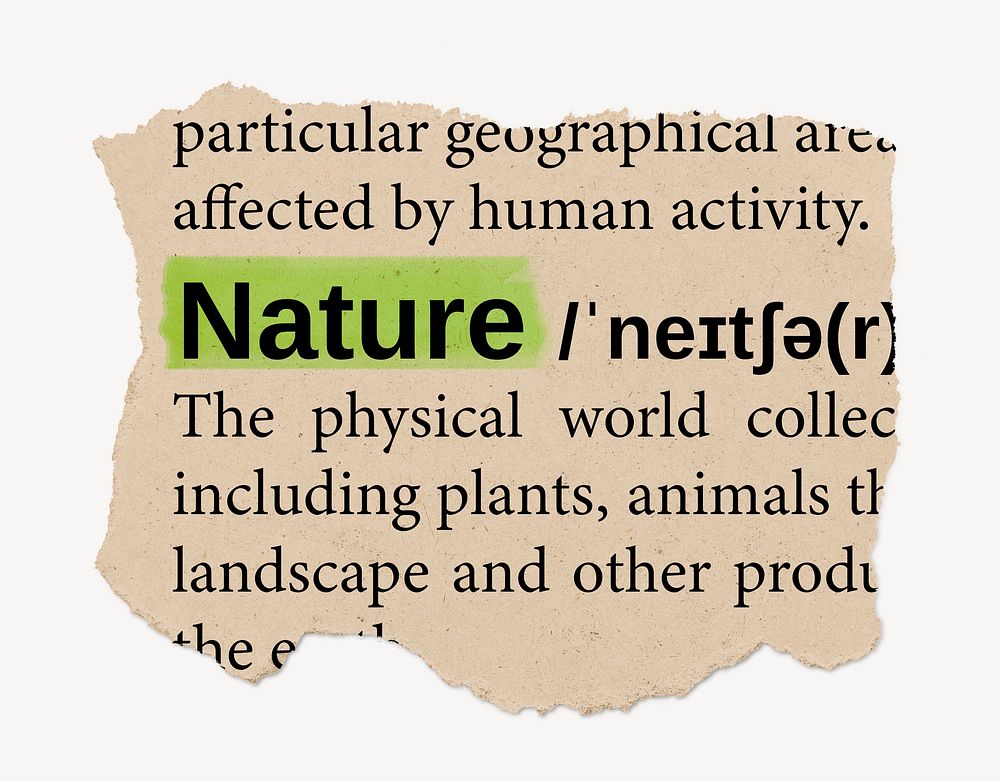 Nature definition, ripped dictionary word, Ephemera torn paper