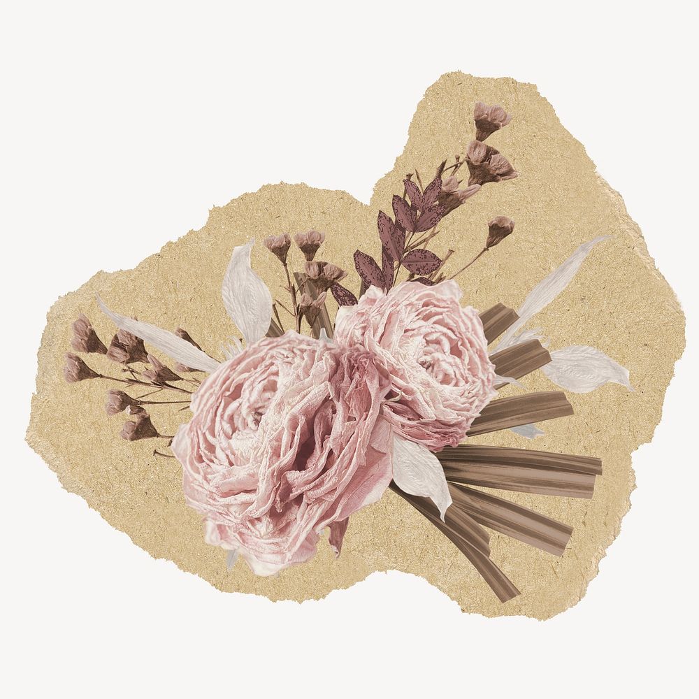 Pink roses ripped paper isolated collage element