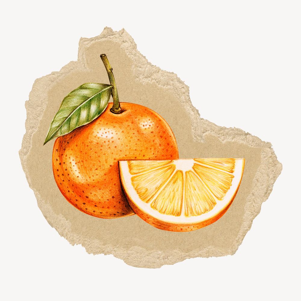 Orange fruit sticker, ripped paper design psd