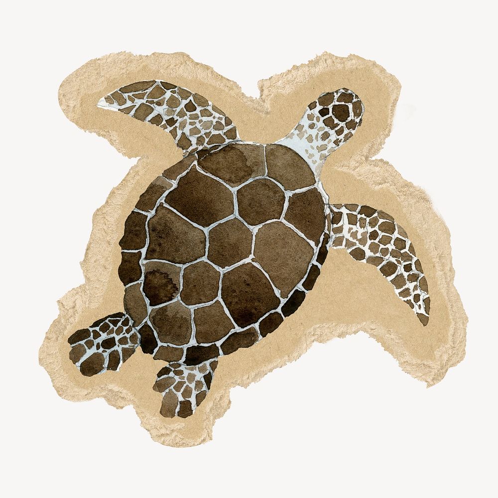 Watercolor sea turtle ripped paper isolated collage element