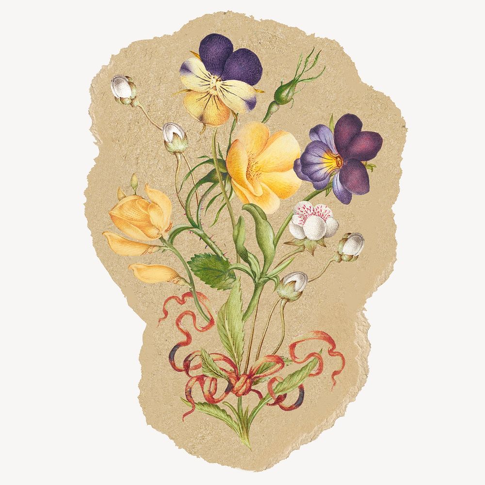 Pansy flowers sticker, ripped paper design psd
