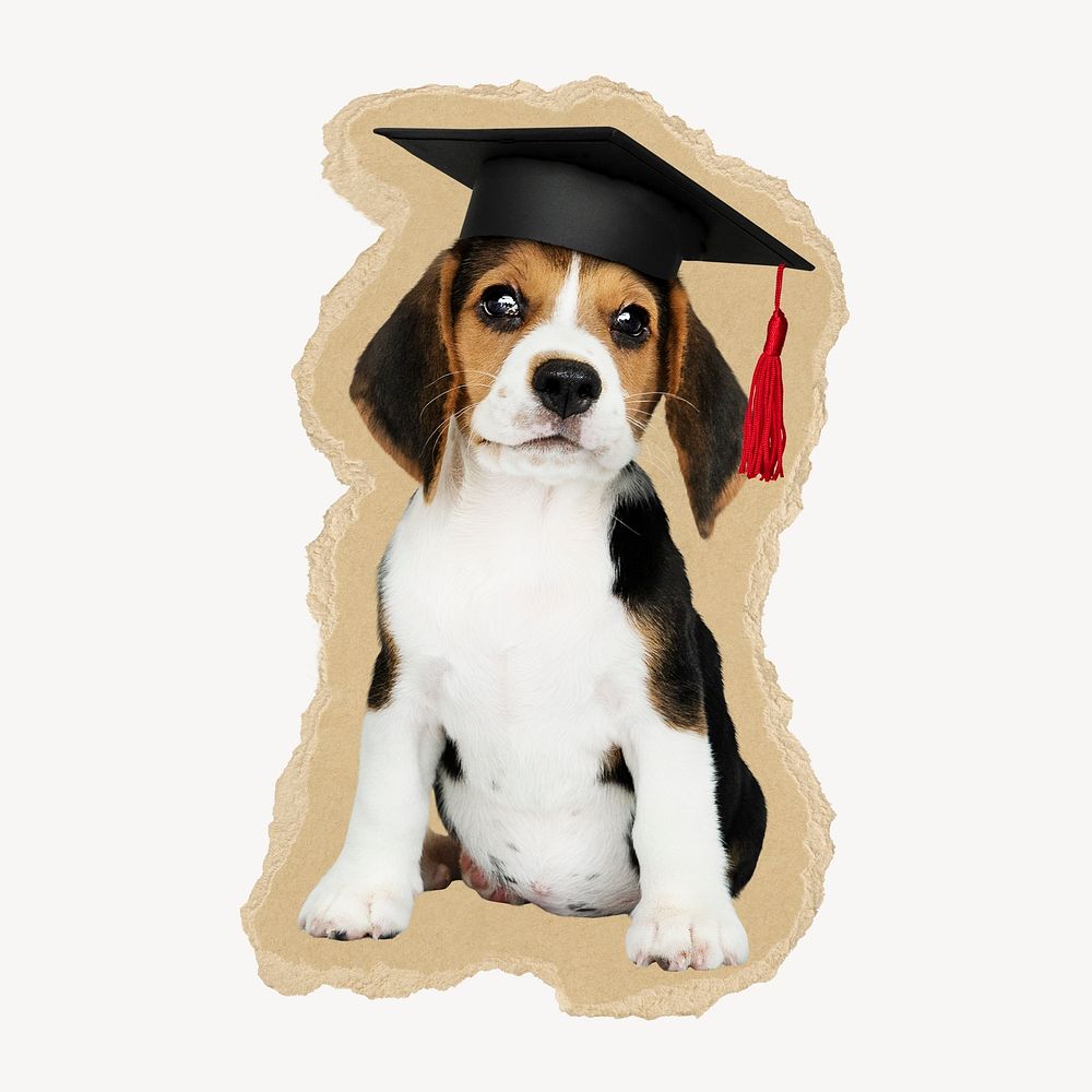 Dog wearing graduation cap ripped paper isolated collage element