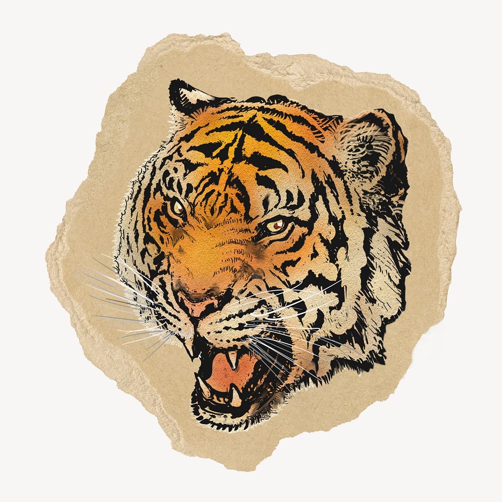 Roaring tiger sticker, ripped paper design psd