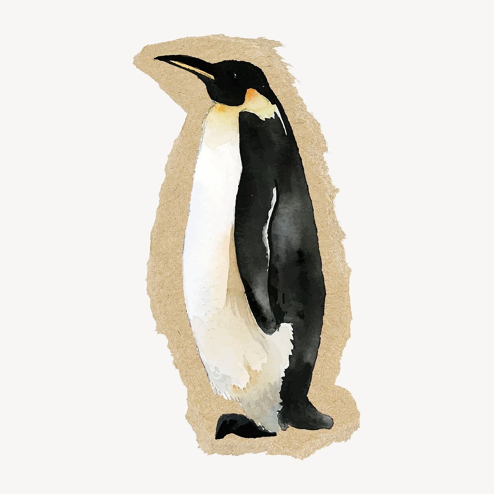 Penguin animal ripped paper isolated collage element