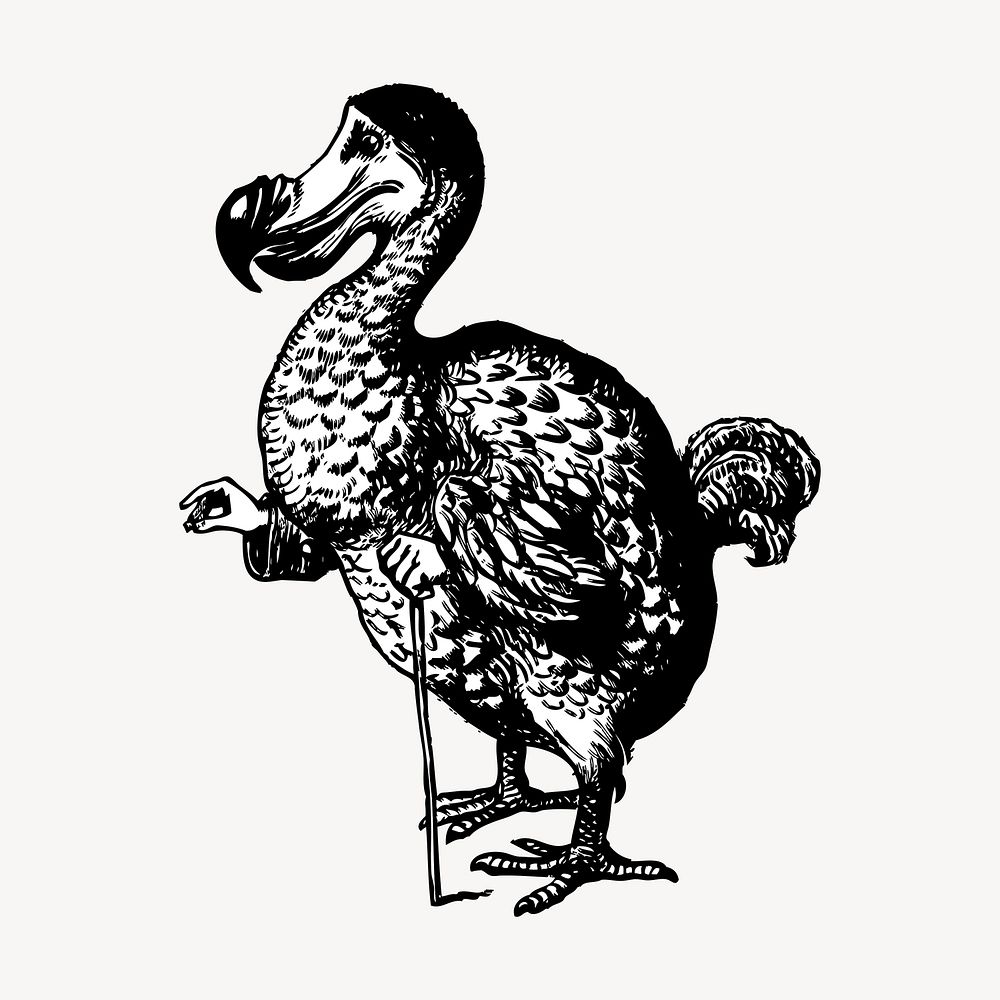 Dodo bird clipart, vintage animal illustration vector. Free public domain CC0 image.