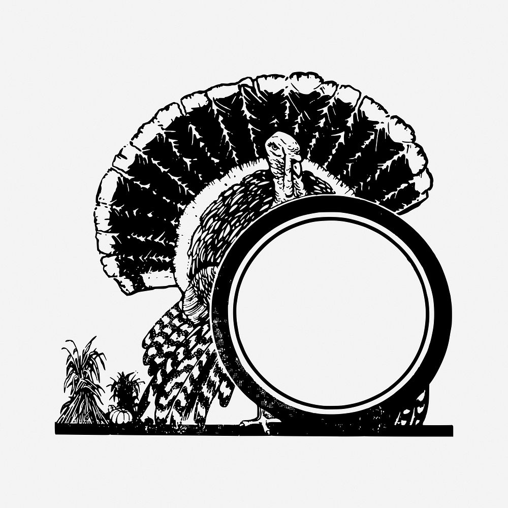 Turkey frame drawing, vintage animal illustration. Free public domain CC0 image.