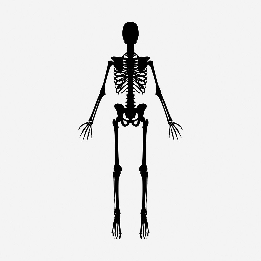Skeleton silhouette vintage illustration. Free public domain CC0 image.