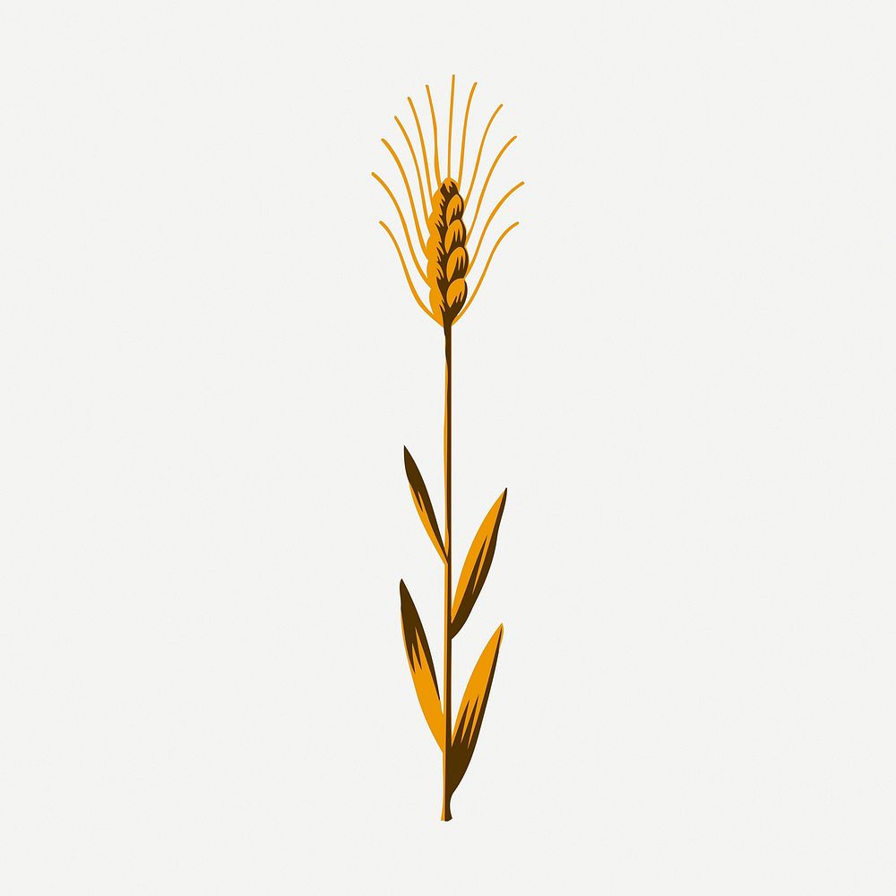 Wheat clipart, vintage plant illustration psd. Free public domain CC0 image.