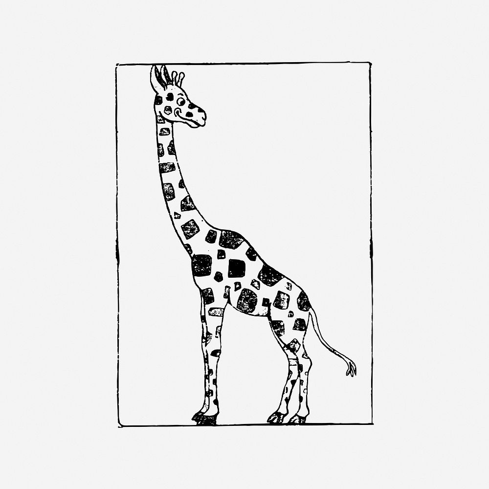 Giraffe vintage animal illustration. Free public domain CC0 image.