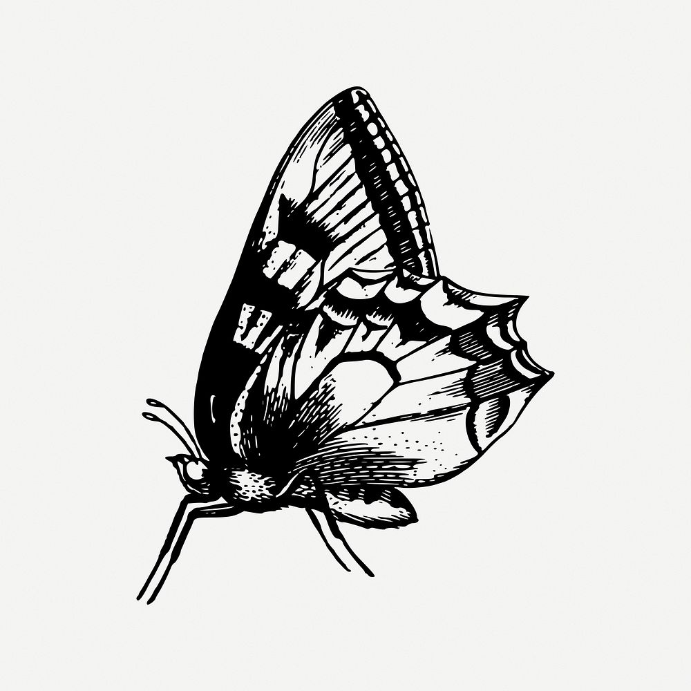 Butterfly clipart, vintage insect illustration psd. Free public domain CC0 image.