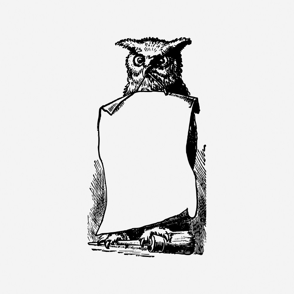 Owl of Athema frame vintage illustration. Free public domain CC0 image.