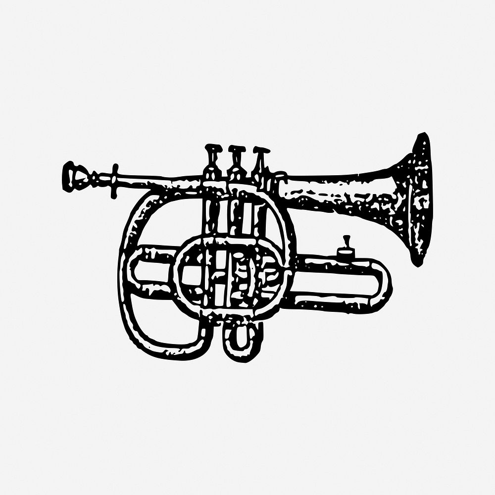 Cornet vintage music illustration. Free public domain CC0 image.