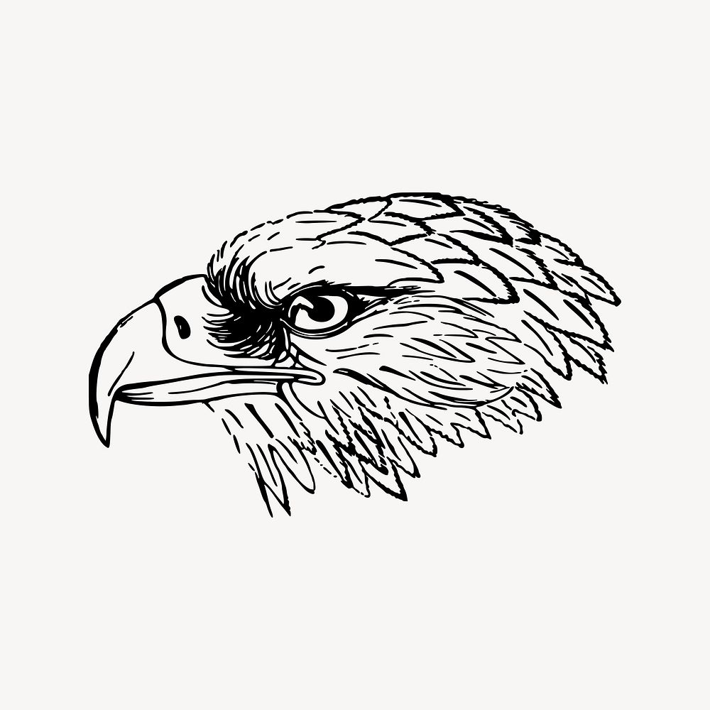 Snake eagle drawing, vintage animal illustration vector. Free public domain CC0 image.