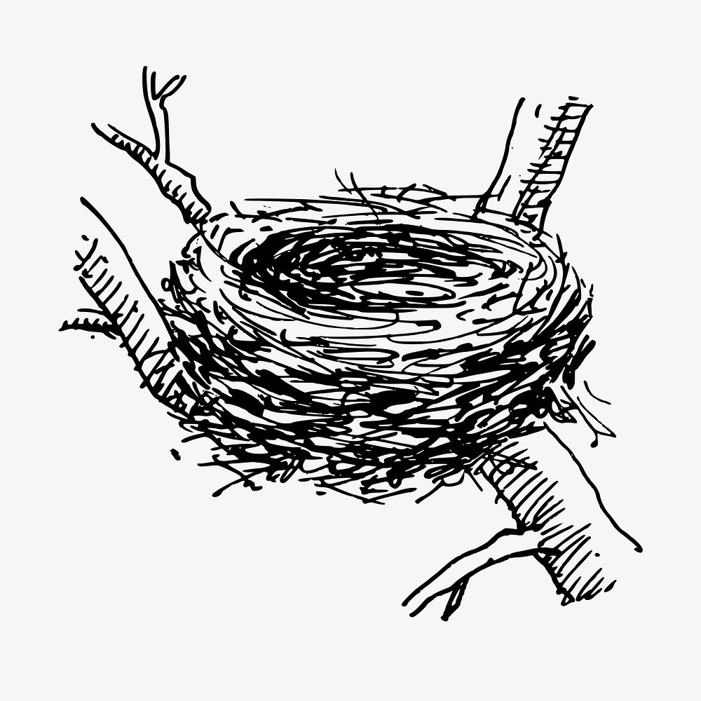 Bird's nest clipart, vintage hand drawn vector. Free public domain CC0 image.
