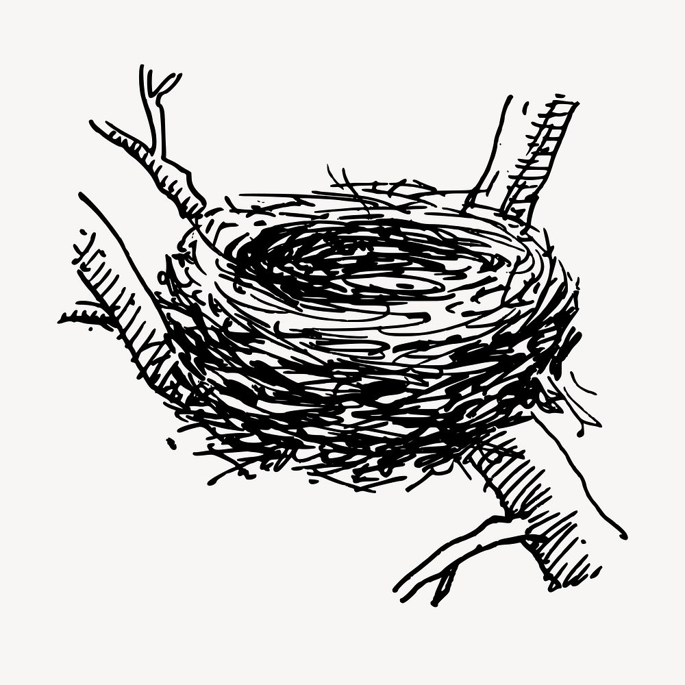 Bird's nest vintage illustration. Free public domain CC0 image.