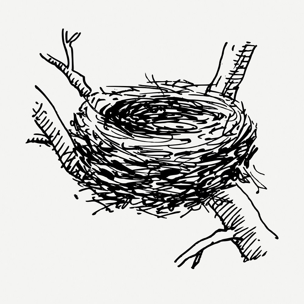 Bird's nest drawing, vintage illustration psd. Free public domain CC0 image.