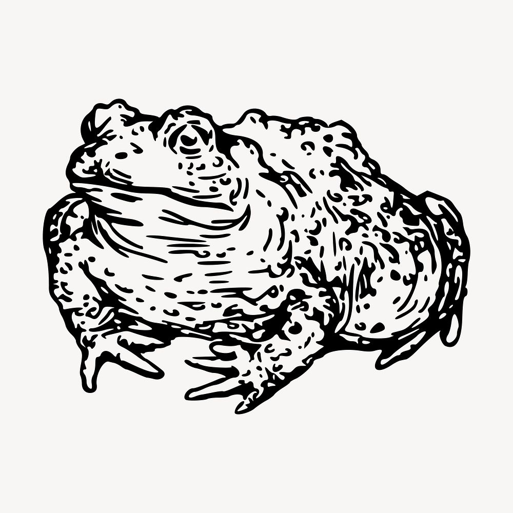 Warty toad clipart, vintage hand drawn vector. Free public domain CC0 image.