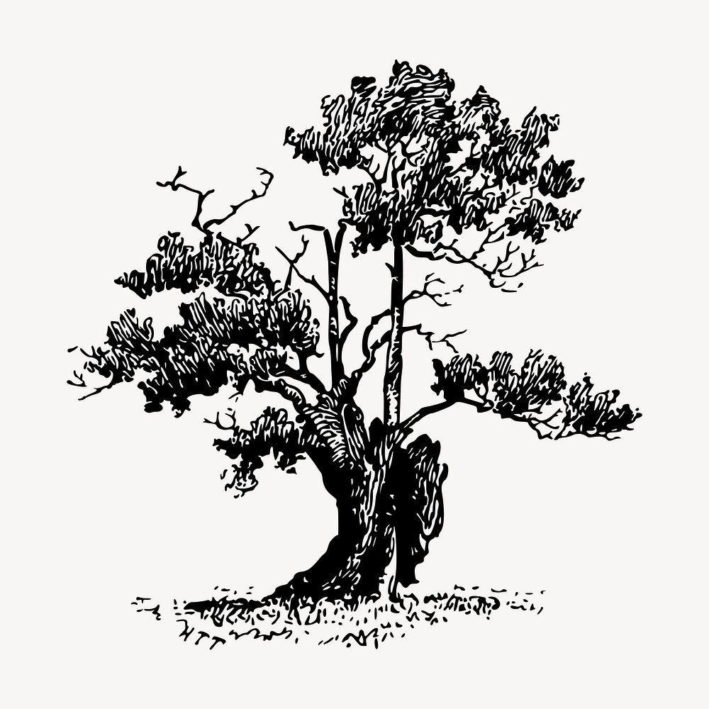 Sparse tree clipart, vintage hand drawn vector. Free public domain CC0 image.