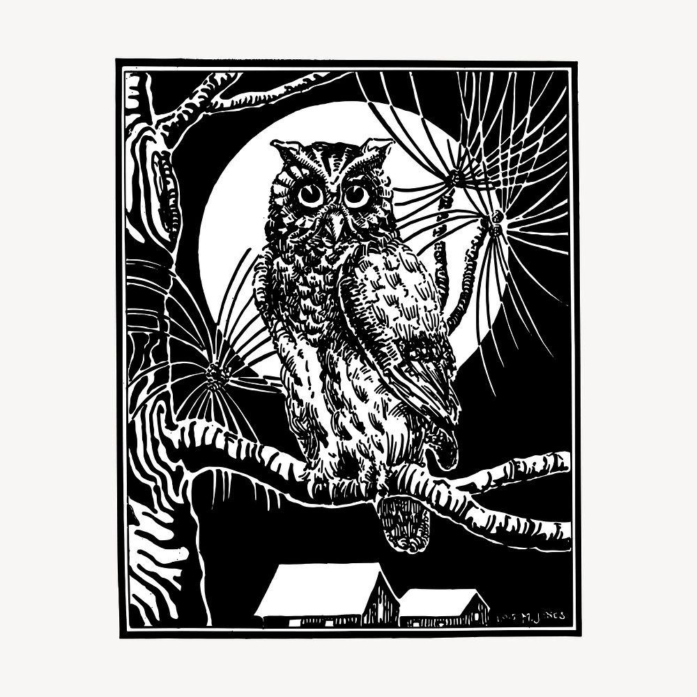 Night owl clipart, vintage hand drawn vector. Free public domain CC0 image.