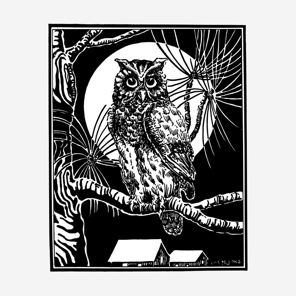 Night owl vintage illustration. Free public domain CC0 image.