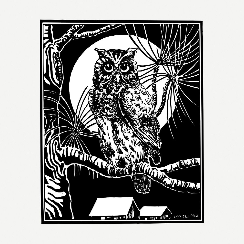 Night owl drawing, vintage illustration psd. Free public domain CC0 image.