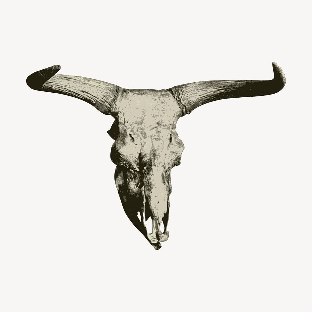 Bison skull clipart, vintage hand drawn vector. Free public domain CC0 image.