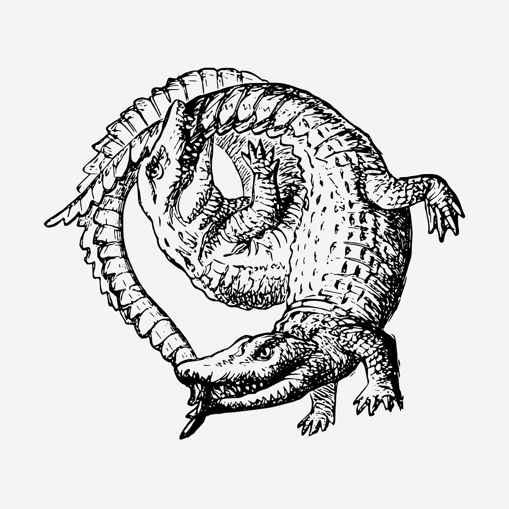 Two crocodiles drawing, vintage illustration psd. Free public domain CC0 image.